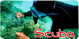 Go to Scuba